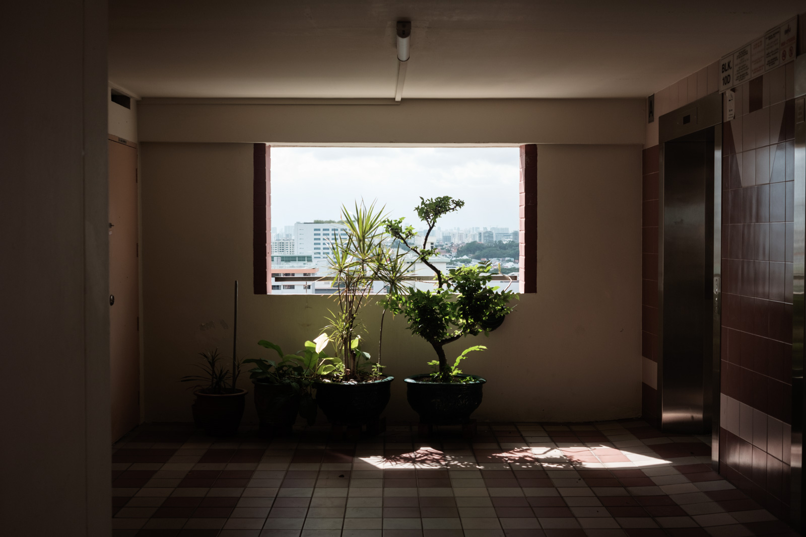 Charlene-Winfred-10128