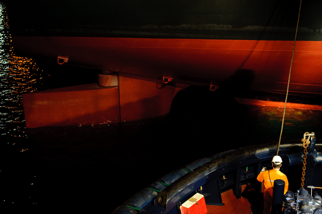 copyright Charlene Winfred