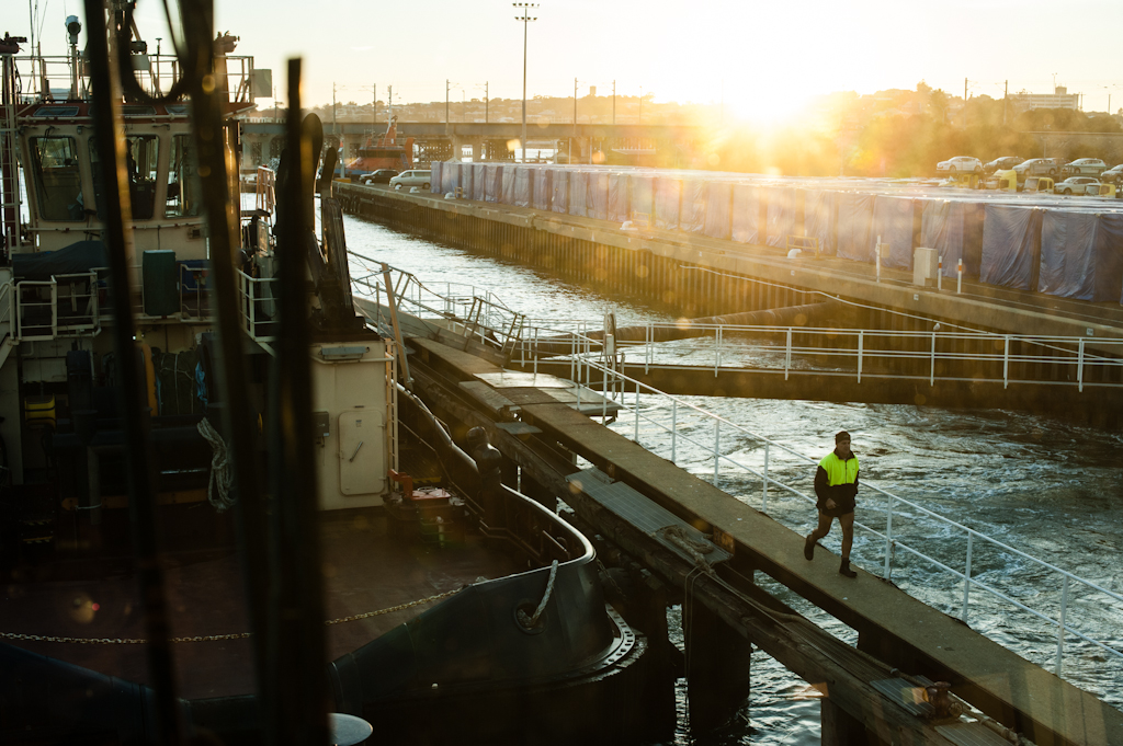 copyright Charlene Winfred