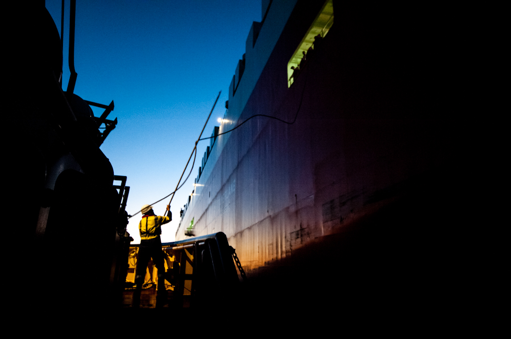 copyright Charlene Winfred