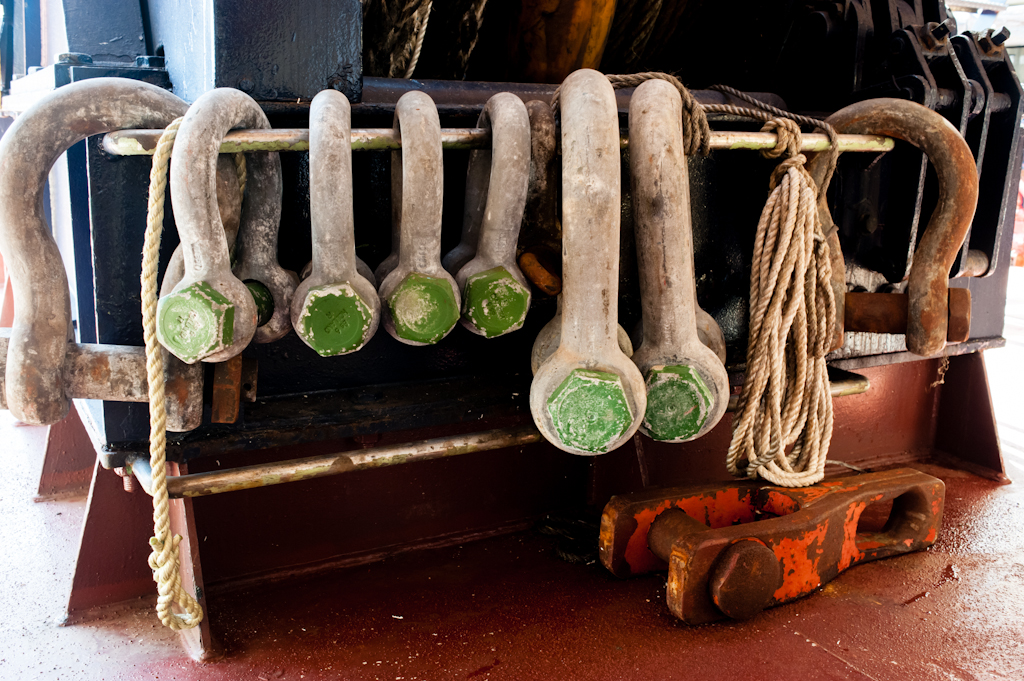 copyright Charlene Winfred