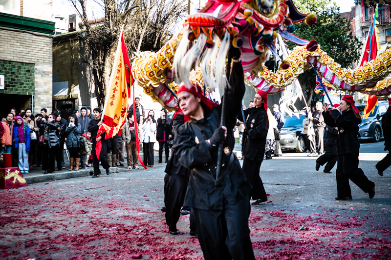 Dragon dancer