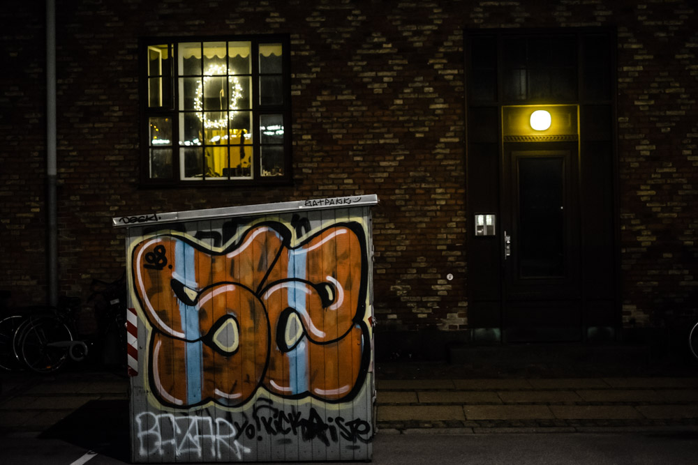 CharleneWinfred-Nightwalking-5769