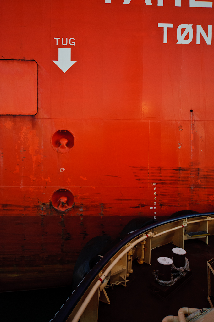 copyright Charlene Winfred