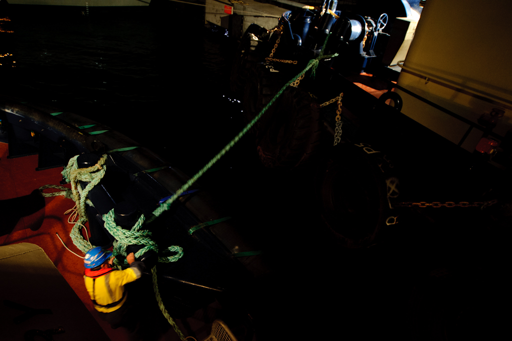 copyright Charlene Winfred