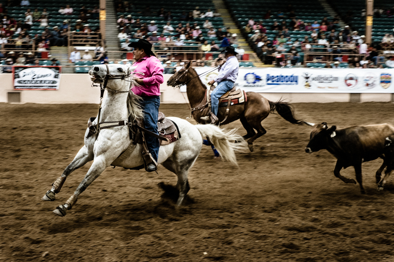 charlenewinfred-newmexico-iifr-rodeo-roping-3