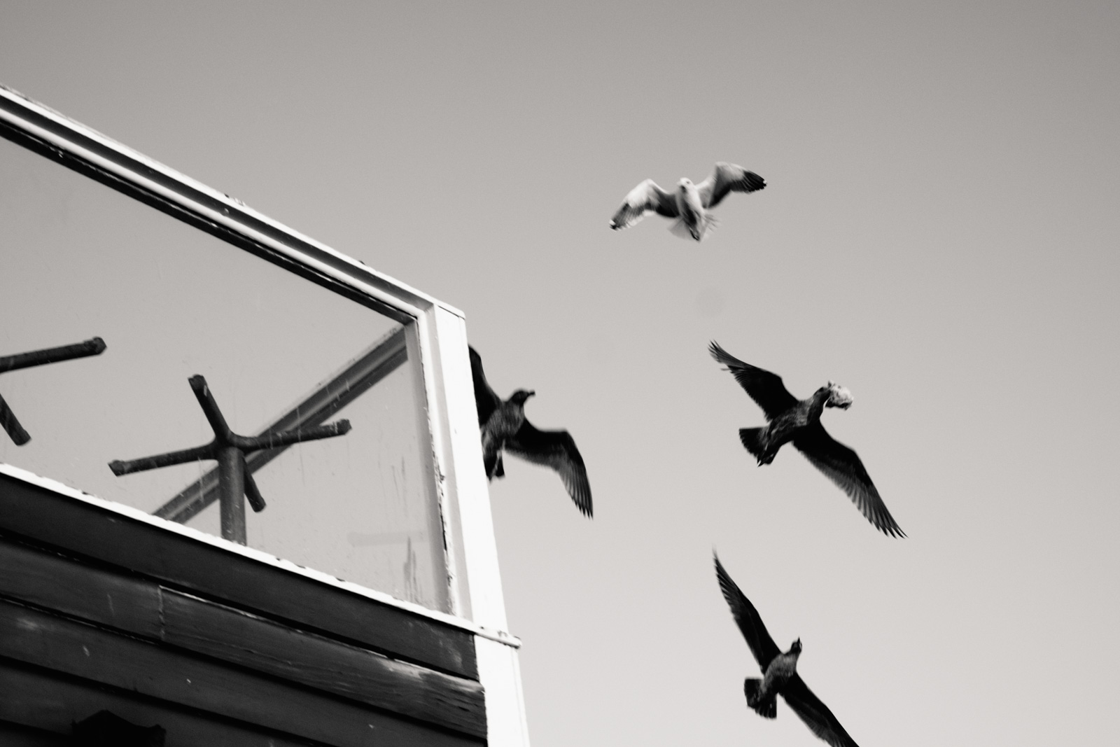 charlene-winfred-05113