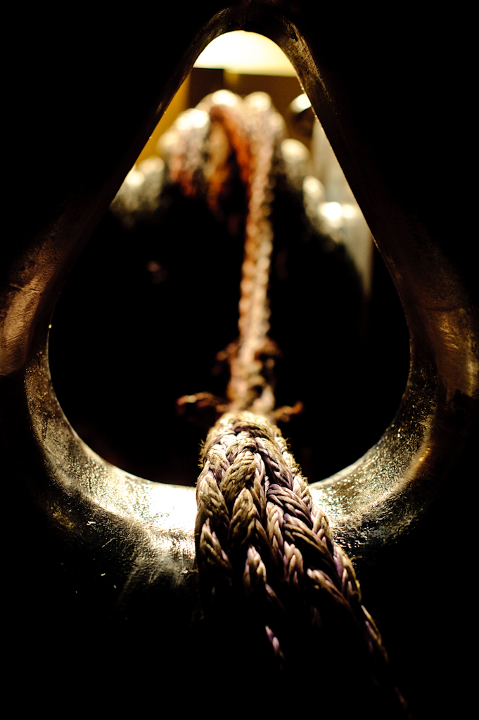 copyright Charlene Winfred