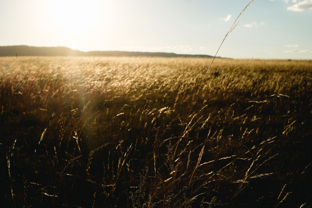 CharleneWinfred-USA-08714