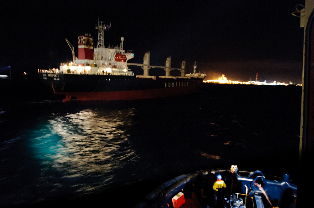 copyright Charlene Winfred