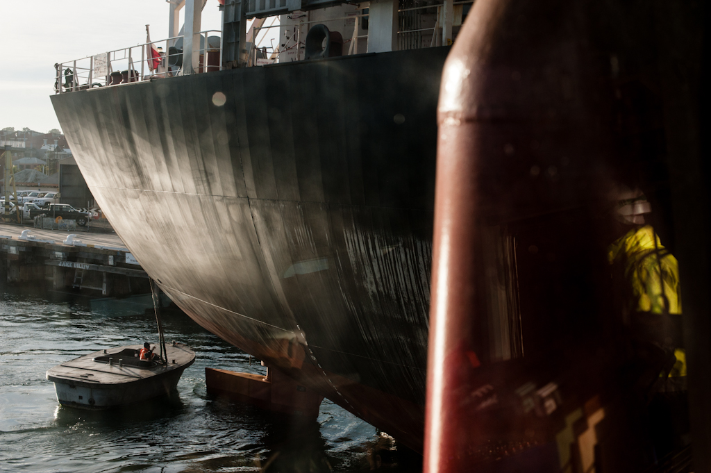 copyright Charlene Winfred